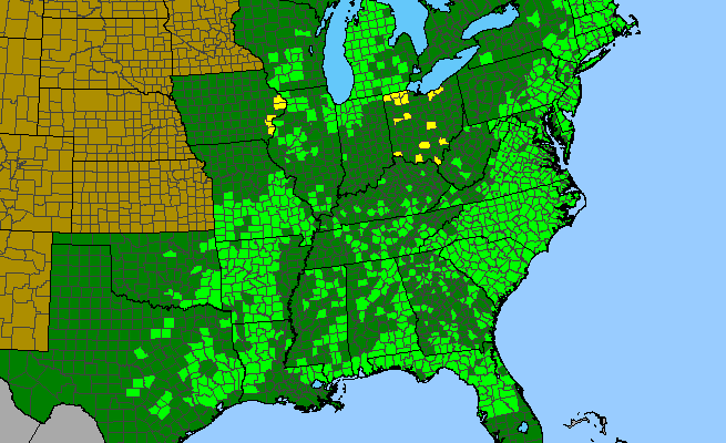 The range of Krigia virginica